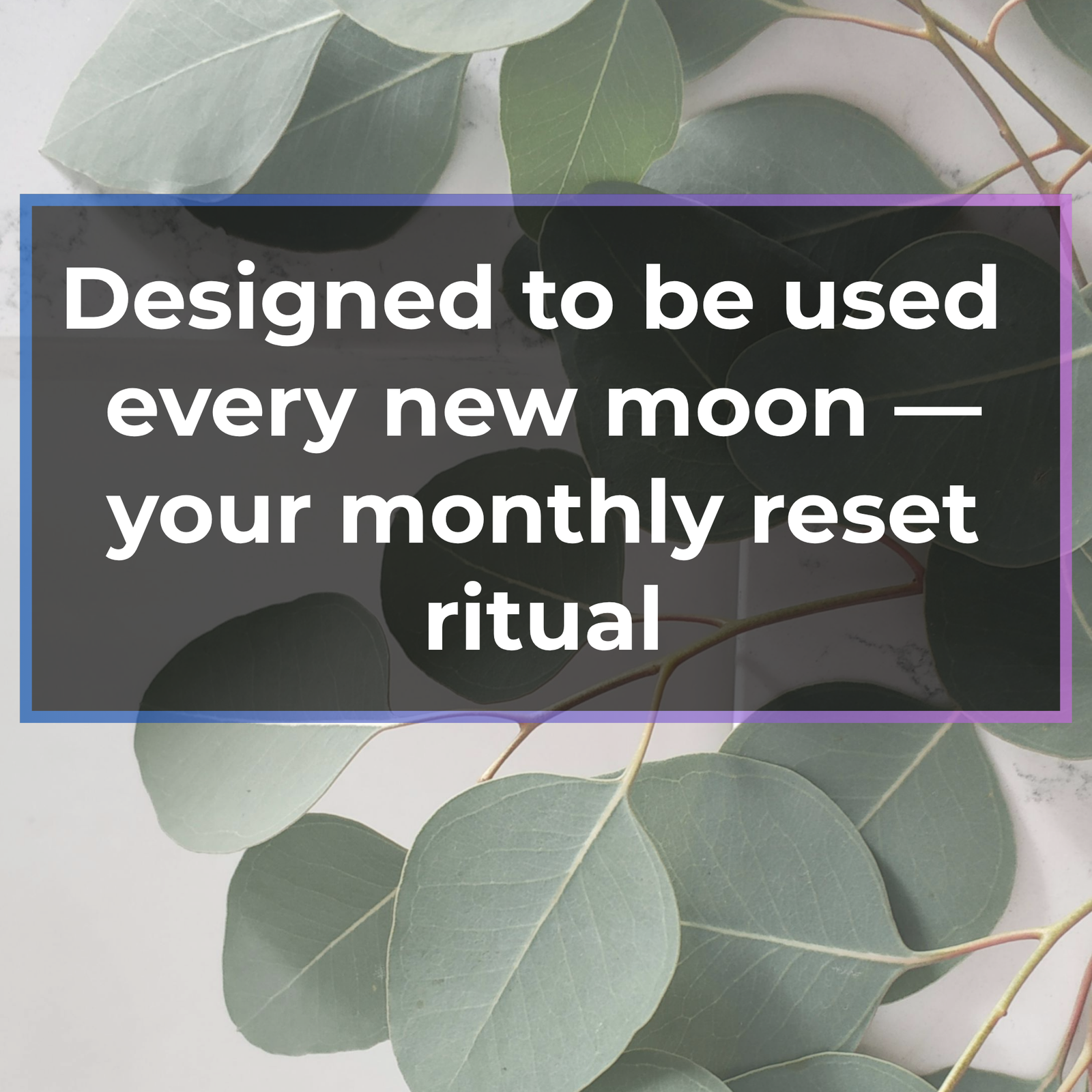 new moon ritual prosperity money spell guide